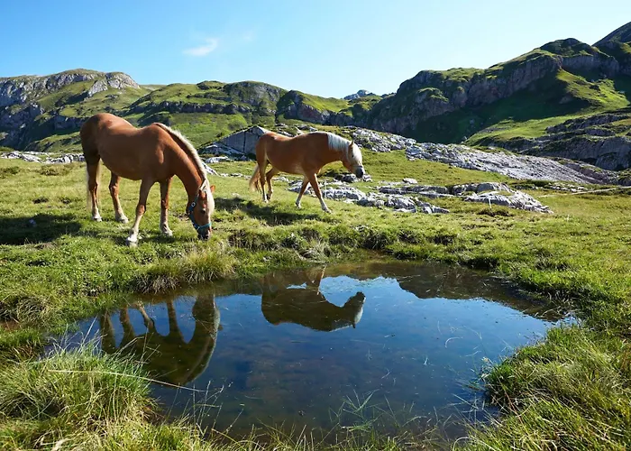 Hotel Post Arlberg 5*